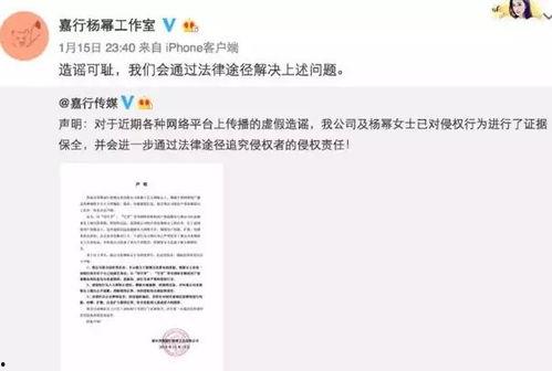娱乐圈文字式爆料小说,揭秘明星们的爱恨情仇  第2张