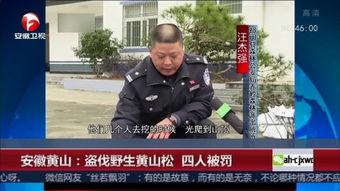 黄山记者爆料新闻视频  第1张